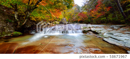 Taetae山的秋天 58671967