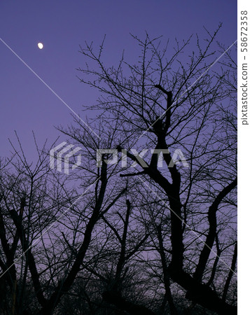 染野吉野和冬天的月亮 染野吉野和冬天的月亮 58672358