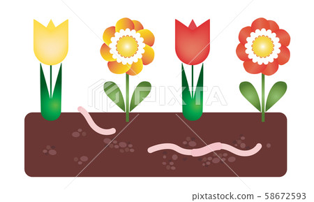 Flower bed with soil and earthworm under the Flower bed with soil and earthworm under the 58672593