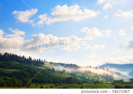 Carpathian nature in summer Carpathian nature in summer 58672967