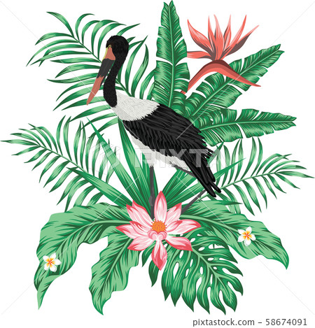 Exotic print realistic vector stork leaves flowers 58674091