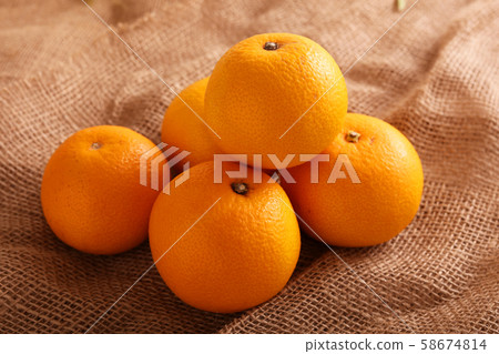 Fresh Orange 58674814