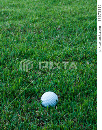 Golf ball on green grass 58675312