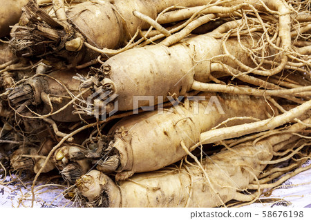 Ginseng Ginseng 58676198