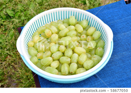 Green grape (image) Green grape (image) 58677050
