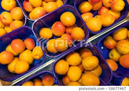 Yellow fresh delicious plum in blue plastic boxes at food market. May be used for agriculure Yellow fresh delicious plum in blue plastic boxes at food market. May be used for agriculure 58677467
