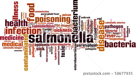Salmonella word cloud Salmonella word cloud 58677935