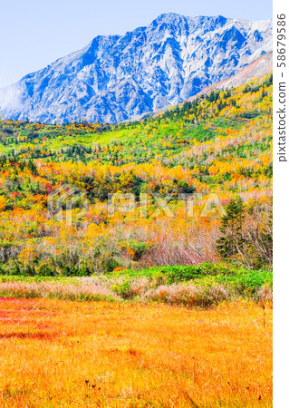 Tsugaike Nature Park (Autumn) 58679586