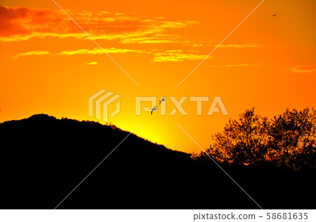 Sunset Sunset 58681635