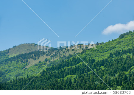 未開發,井上!新鮮的綠色Ochiai通行證 未開發,井上!新鮮的綠色Ochiai通行證 58683703