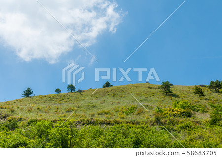 Unexplored, Iyakei! Fresh green Ochiai Pass Unexplored, Iyakei! Fresh green Ochiai Pass 58683705