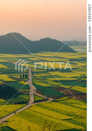Small villages with Rapeseed flowers at Jinjifeng(Golden Chicken Peak), China 58683967