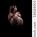 3d Illustration of Anatomy of Human Heart Isolated on black 58684003