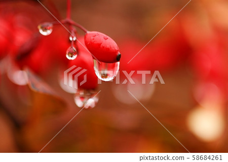 Dewy mountainous oil Dewy mountainous oil 58684261