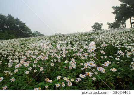 孤島町避天,秋天的花園 孤島町避天,秋天的花園 58684401