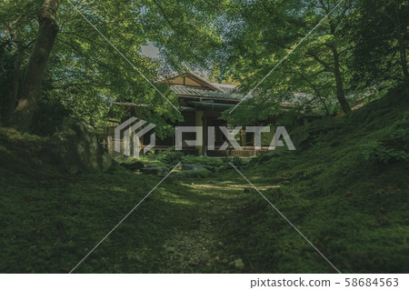京都裡光院日本花園寺廟神社和佛教寺廟花園照片素材 58684563
