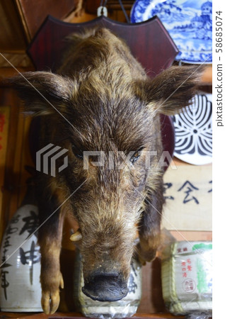 剝皮野豬(東京都板橋區) 剝皮野豬(東京都板橋區) 58685074