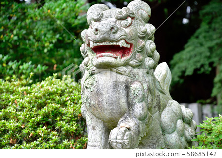 Guardian dog 58685142