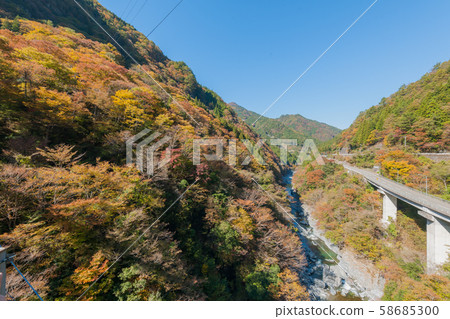 Unexplored! Autumn leaves of Iyakei 58685300