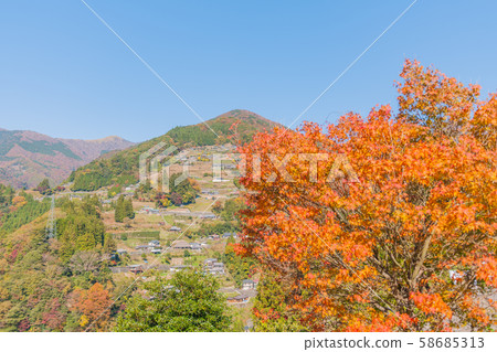 Unexplored! Autumn leaves of Iyakei 58685313