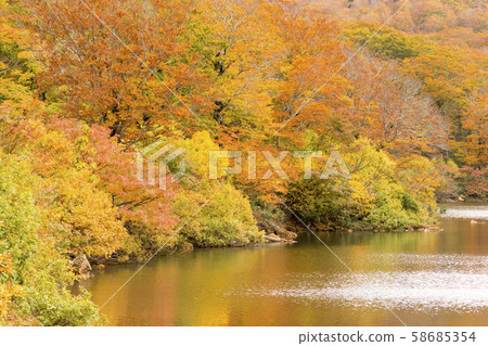 秋天的顏色Kurikoma Sukawa湖秋葉 58685354