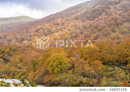 秋天的顏色Kurikoma Sukawa湖秋葉 秋天的顏色Kurikoma Sukawa湖秋葉 58685356