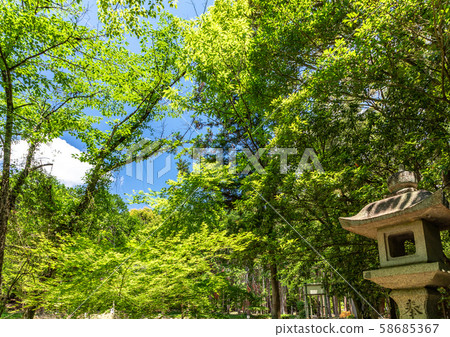 Oharano Shrine approach 58685367