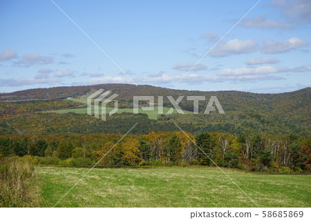 aka坂高原牧場 aka坂高原牧場 58685869