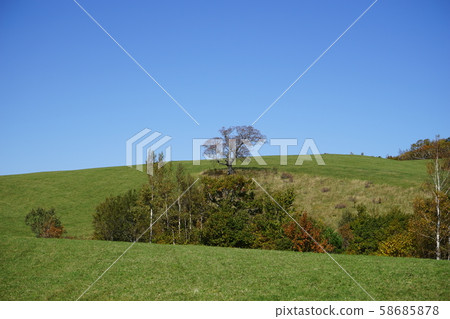 aka坂高原牧場 aka坂高原牧場 58685878