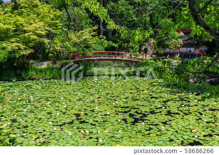  小澤澤大原野神社 58686266