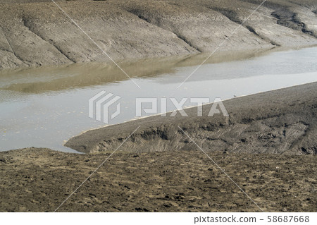 Sora Wetland Ecological Park, Namdong-gu, Incheon 58687668