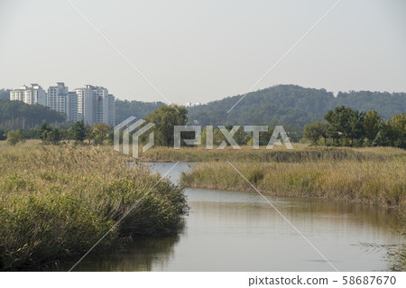 仁川南洞區索拉濕地生態公園 58687670