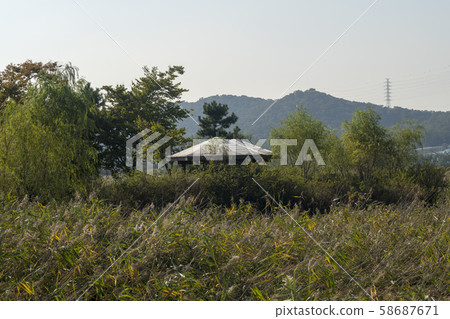 仁川南洞區索拉濕地生態公園 仁川南洞區索拉濕地生態公園 58687671
