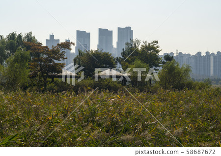 仁川南洞區索拉濕地生態公園 58687672