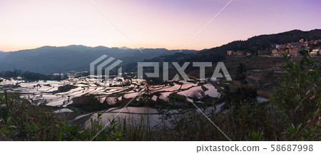 Panoramic view Terraced rice fields of YuanYang , China in the morning 58687998