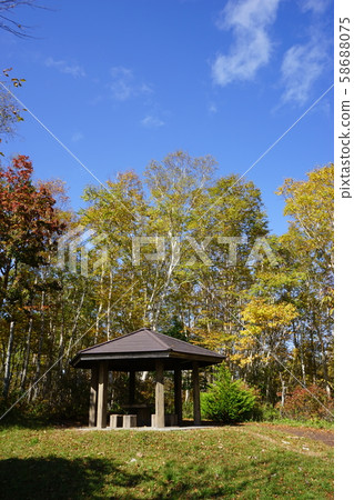 Hayasaka Pass in autumn 58688075