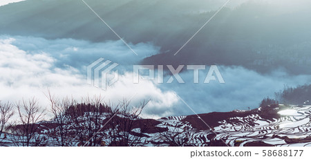 Panoramic view of Terraced rice fields of YuanYang , China with sea of fog and cloud Panoramic view of Terraced rice fields of YuanYang , China with sea of fog and cloud 58688177