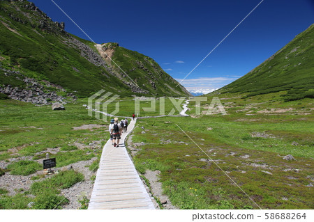 A flower garden in the sky, a paradise spreading over 2700m above sea level 58688264