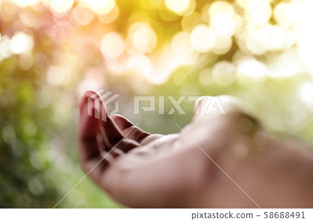 Life Concept. Opened Hand in front of the Natural 58688491