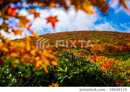 秋葉的Kurikomayama 58689119