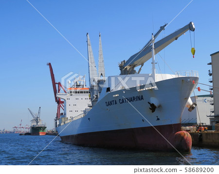 白領冷藏運輸船，冷凍船 58689200