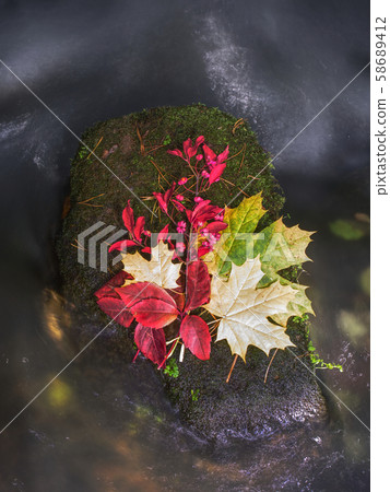 Fall bouquet of dry flowers and fallen leaves on 58689412