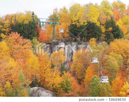 Autumn leaves and panoramic gondola of Mont Tremblant in Quebec, Canada 58689630