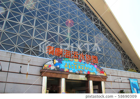 兵庫縣神戶市須磨區神戶市須磨海濱水族館/一丁目若宮町 58690309