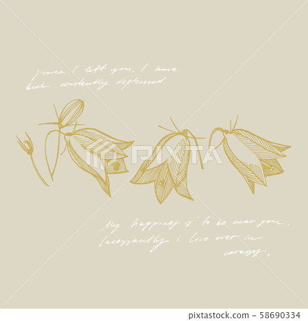 Bellflower blossoms, leaves and bouquets set. Natural summer, spring meadow plants monochrome 58690334