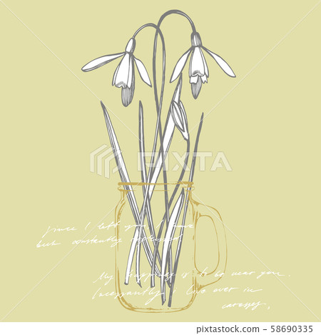 Snowdrop spring flowers. Botanical plant illustration. Vintage medicinal herbs sketch set of ink 58690335