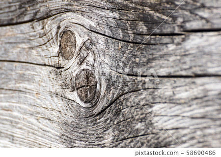 Old walnut tree trunk detail texture as natural background. Old walnut tree trunk detail texture as natural background. 58690486