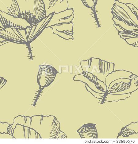 Poppy flowers. Botanical plant illustration. Vintage medicinal herbs sketch set of ink hand drawn Poppy flowers. Botanical plant illustration. Vintage medicinal herbs sketch set of ink hand drawn 58690576