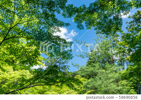 Serizawa Pond Oharano Shrine Serizawa Pond Oharano Shrine 58690856