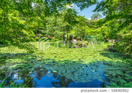 中之島大原野神社澤澤池塘 58690862
